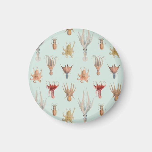 Vintage Mollusks (blå) Magnet (Framsidan)