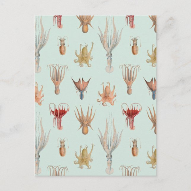 Vintage Mollusks (blå) Vykort (Framsida)