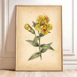 Vintage Monkey Flower Väggkonst, Canvas Poster