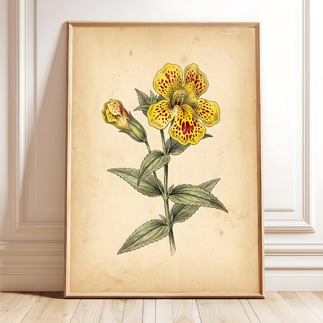 Vintage Monkey Flower Väggkonst, Canvas Poster (Skapare uppladdad)
