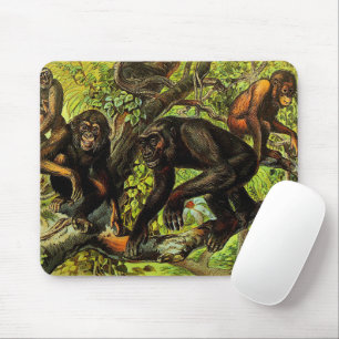 Vintage Monkey Gibbon Chipanzee Gorilla Orangutan Musmatta