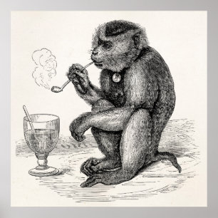 Vintage Monkey Smoking a Pipe Monkey Animal Poster