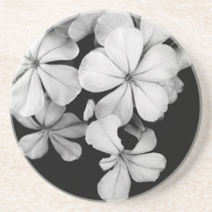 Vintage Monokrom Plumbago Konst Underlägg