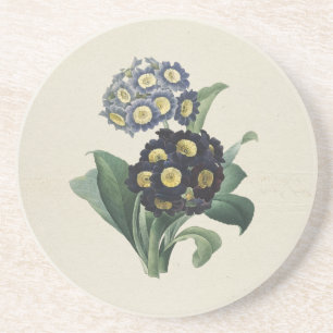 Vintage Moody blå Auricula Primroses Underlägg
