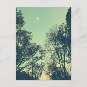 Vintage Moonlit night Vykort
