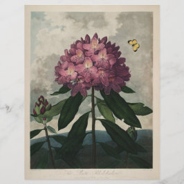 Vintage Mörk Academia Botanical Print