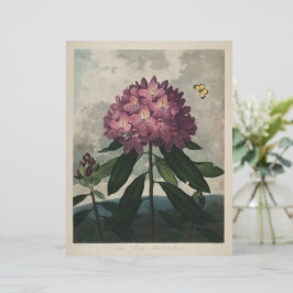 Vintage Mörk Academia Botanical Print