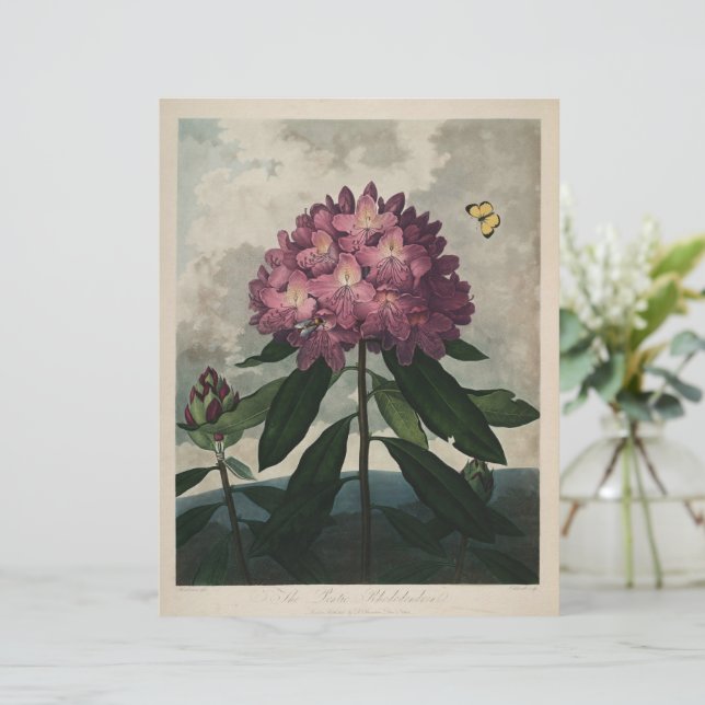 Vintage Mörk Academia Botanical Print (Stående Fram)