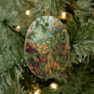 Vintage Moss Plants av Ernst Haeckel, Muscinae Julgransprydnad Keramik