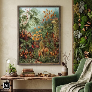 Vintage Mossväxter av Ernst Haeckel, Muscinae Poster