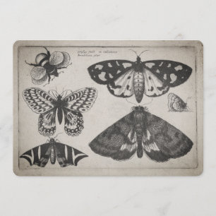 Vintage Moth Butterfly Bee Illustration (65) Inbjudningar