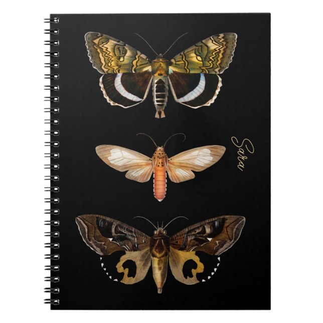 Vintage Moth Butterfly Personlig Notebook Anteckningsbok (Framsidan)
