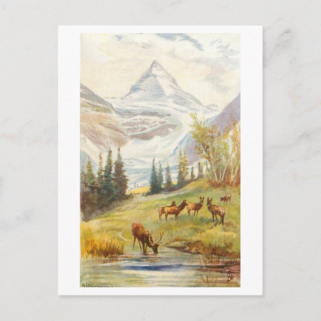 Vintage Mount Assiniboine och glaciär, Kanada Vykort (Framsida)