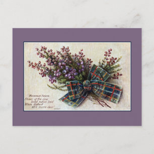Vintage Mountain Heath Scottish klan ribbon, dikt Vykort
