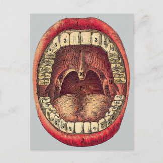Vintage Mouth Vykort