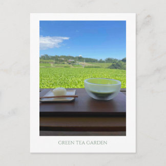 Vintage Mt Fuji Japan Green Tea Postcard Vykort