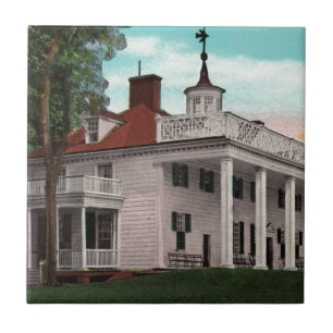Vintage Mt. Vernon Kakelplatta