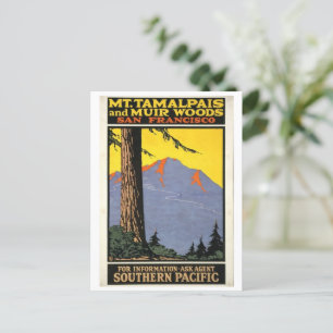 Vintage Muir Skogen & Mt Tamalpais Vykort