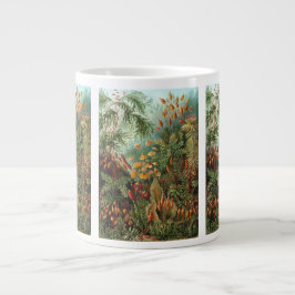 Vintage Muscinae, Moss Plants av Ernst Haeckel Jumbo Mugg