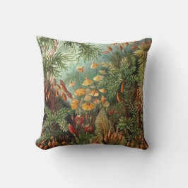 Vintage Muscinae, Moss Plants av Ernst Haeckel Kudde