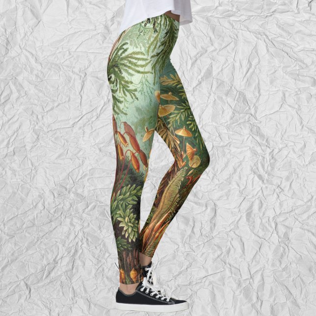 Vintage Muscinae, Moss Plants av Ernst Haeckel Leggings (Vintage Muscinae, Moss Plants by Ernst Haeckel Leggings)