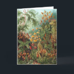 Vintage Muscinae, mossväxter av Ernst Haeckel Kort<br><div class="desc">Vintage illustration natur botanisk design av Ernst Haeckel. En mängd olika färgrika mossor,  gräs och andra exotiska tropiska växter i en regnskog.</div>
