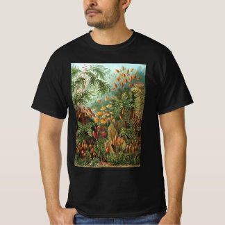 Vintage Muscinae, Mossväxter av Ernst Haeckel Tee