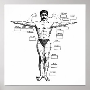 Vintage Muscleman från 1905 Poster