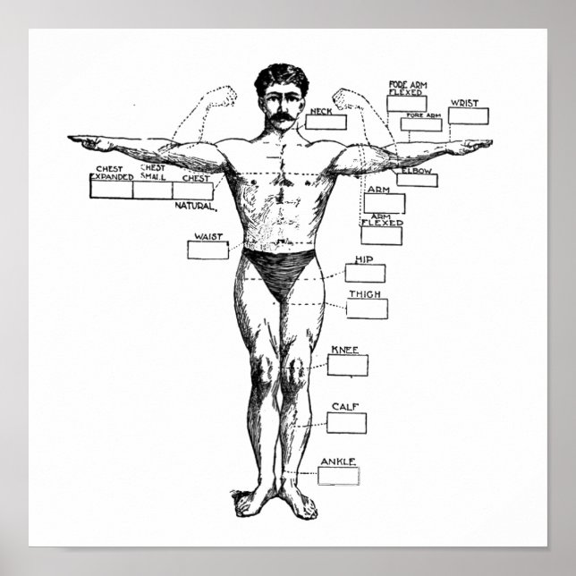 Vintage Muscleman från 1905 Poster (Framsidan)
