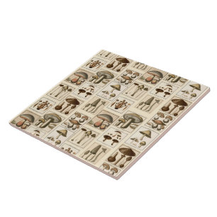 Vintage Mushroom Botanical Prints Tile Trivet Kakelplatta