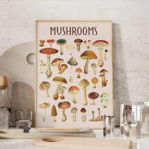 Vintage Mushroom Chart Wall Art