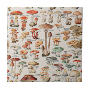Vintage Mushroom Fungus Illustration I Kakelplatta