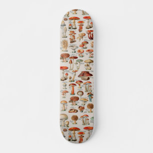 Vintage Mushroom Fungus Illustration I Mini Skateboard Bräda 18,5 Cm