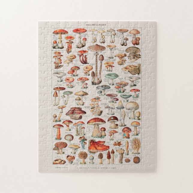 Vintage Mushroom Fungus Illustration I Pussel (Vertikal)