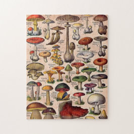 Vintage Mushroom Guide Pussel