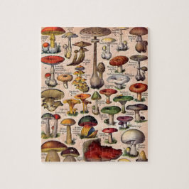 Vintage Mushroom Guide Pussel
