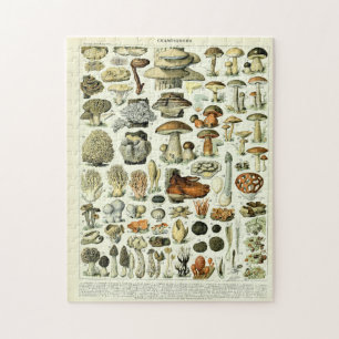 Vintage Mushroom Illustrations by Adolphe Millot Pussel