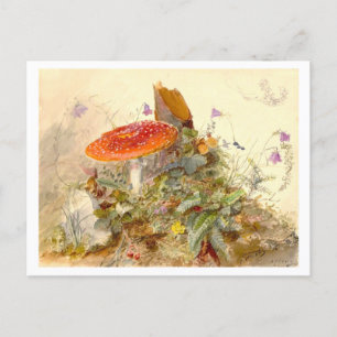 Vintage Mushroom Meadow Scene Vykort
