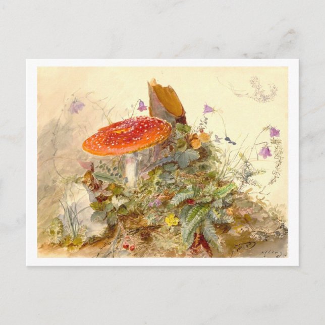 Vintage Mushroom Meadow Scene Vykort (Framsida)