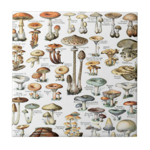 Vintage Mushroom Mönster Kakelplatta