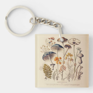 Vintage Mushroom Naturalist