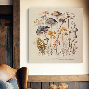 Vintage Mushroom Naturalist Canvastryck