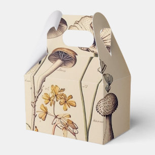Vintage Mushroom Naturalist Presentaskar