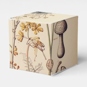Vintage Mushroom Naturalist Presentaskar
