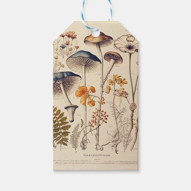 Vintage Mushroom Naturalist Presentetikett (Framsidan)