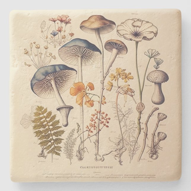 Vintage Mushroom Naturalist Stenunderlägg (Framsidan)