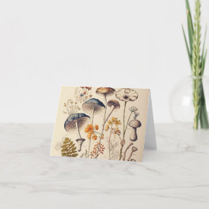 Vintage Mushroom Naturalist Tack Kort