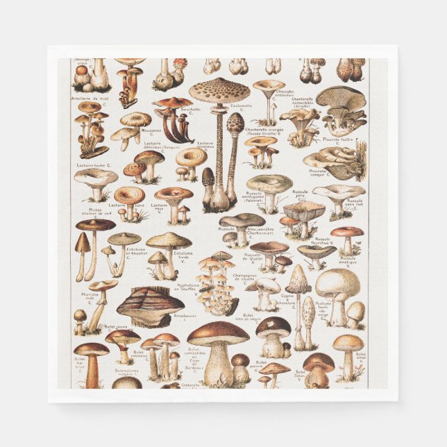 Vintage Mushrooms By Adolphe Millot Pappersservett (Framsidan)