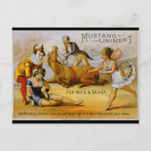 Vintage Mustang Liniment Vykort