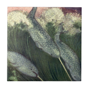 Vintage Narwhals, Marine Life Whales Ocean Animals Kakelplatta